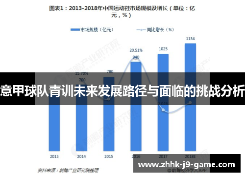 意甲球队青训未来发展路径与面临的挑战分析