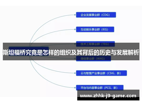 斯坦福桥究竟是怎样的组织及其背后的历史与发展解析
